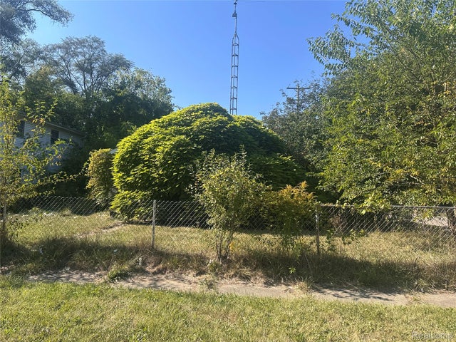 1133 Donaldson Street, Flint city