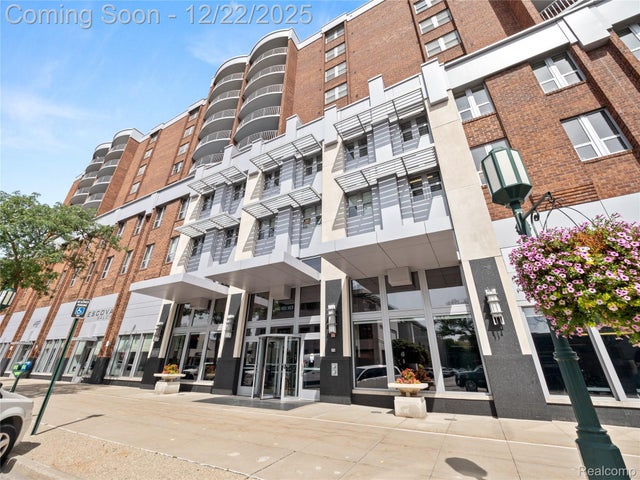 411 S Old Woodward Avenue 924, Birmingham city