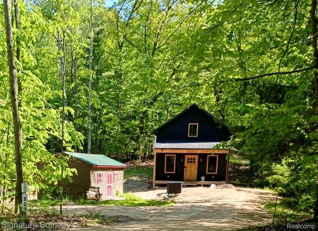 229 Forest Trail, Rose Lake township
