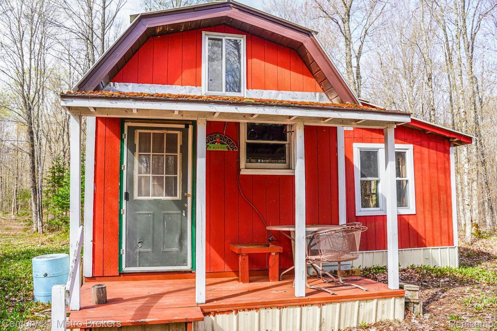 21821 Krenkel, McMillan township
