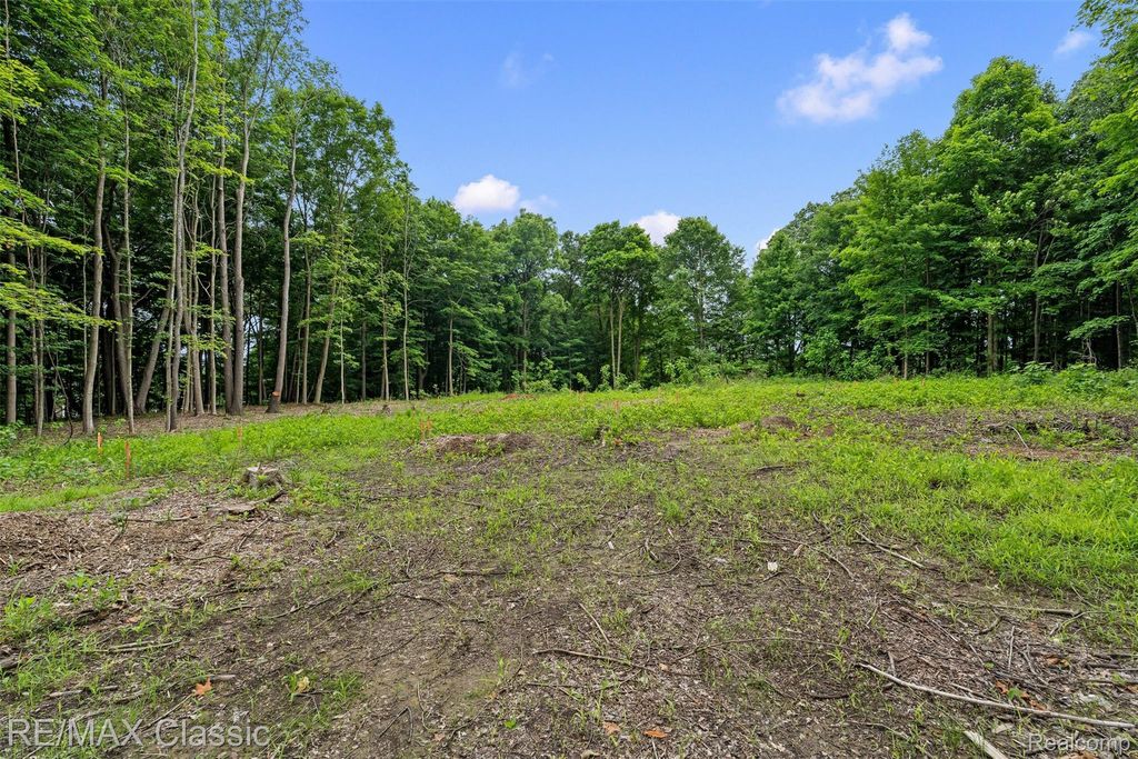 7888 N Territorial, Webster township
