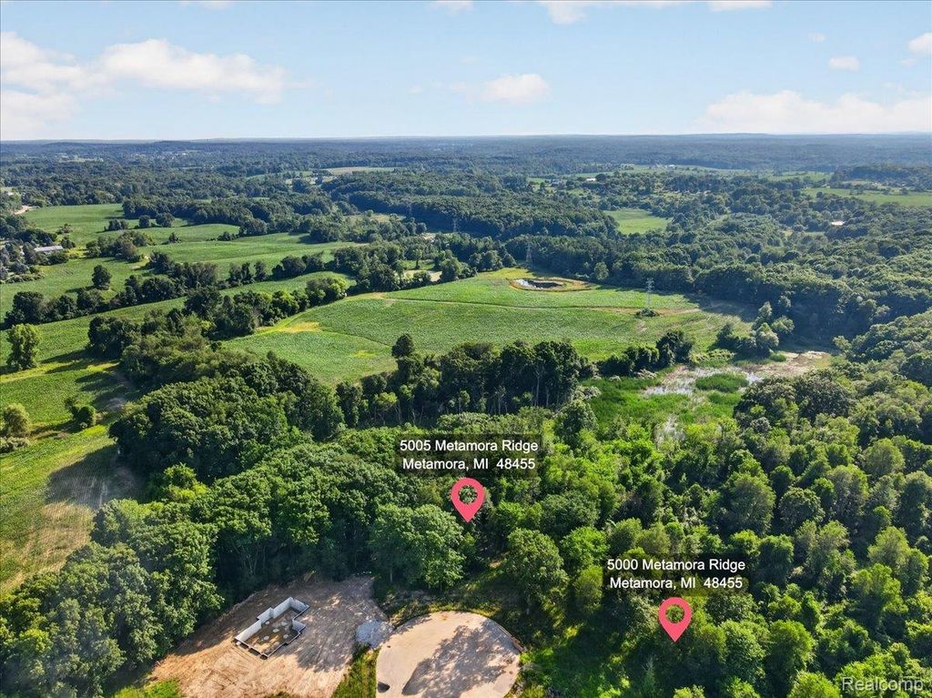 5000 Metamora Ridge, Metamora township