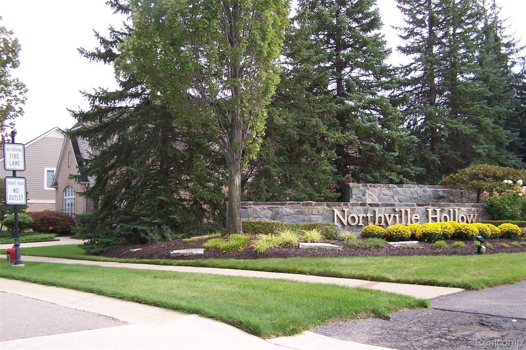 15899 Winding Creek Court, Northville township