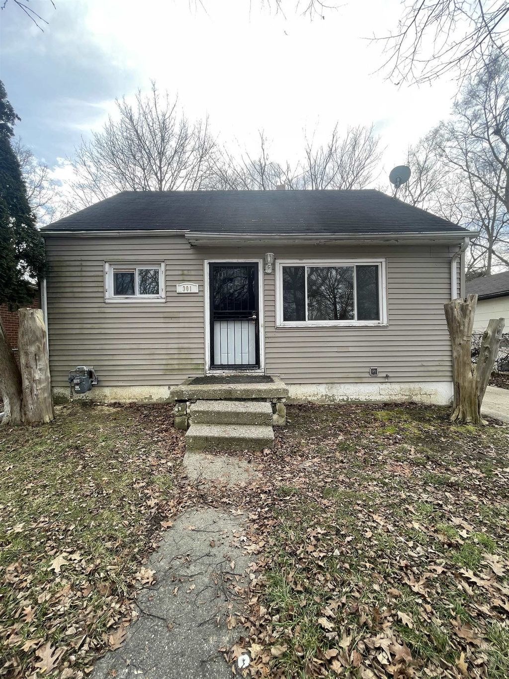 301 W Ruth Ave, Flint city