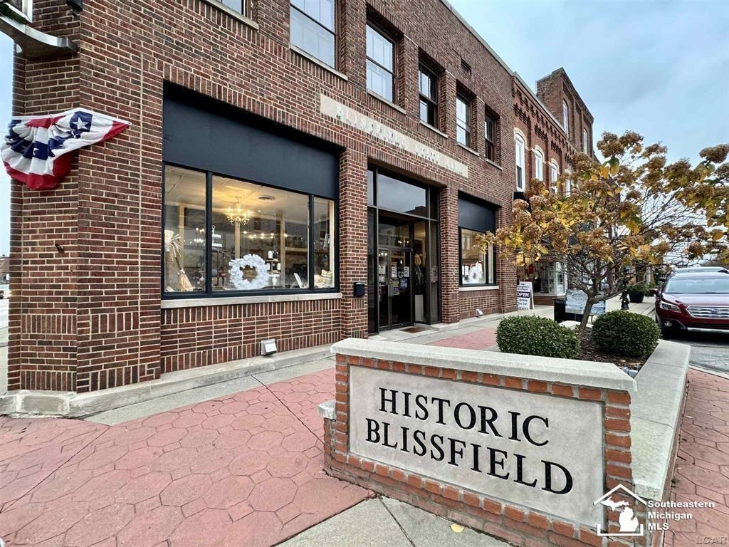 101 S Lane St, Blissfield village
