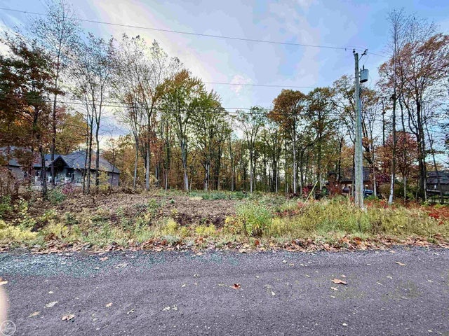 62747 Braun, Washington township