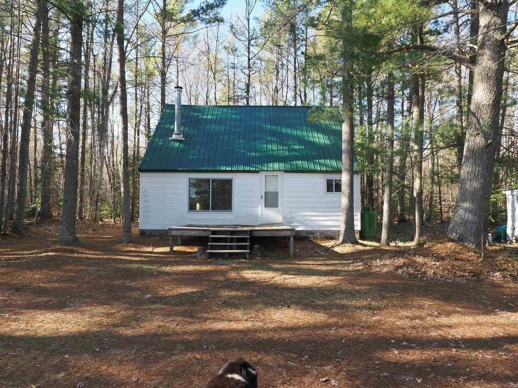 6035 W Sadlers Loop, Seney township