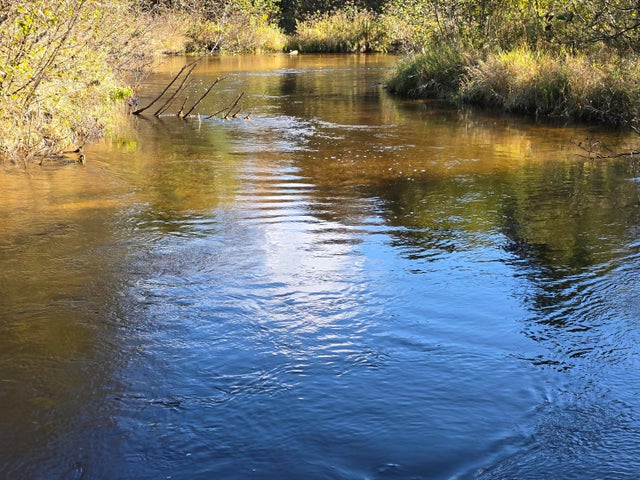 10652 N River Road, Unknown City