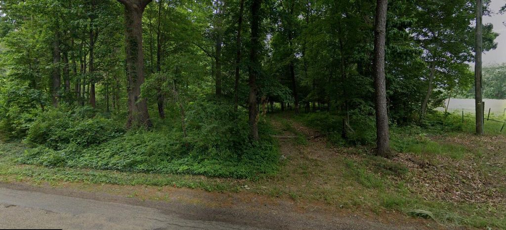14765 Millard Road, Fabius township