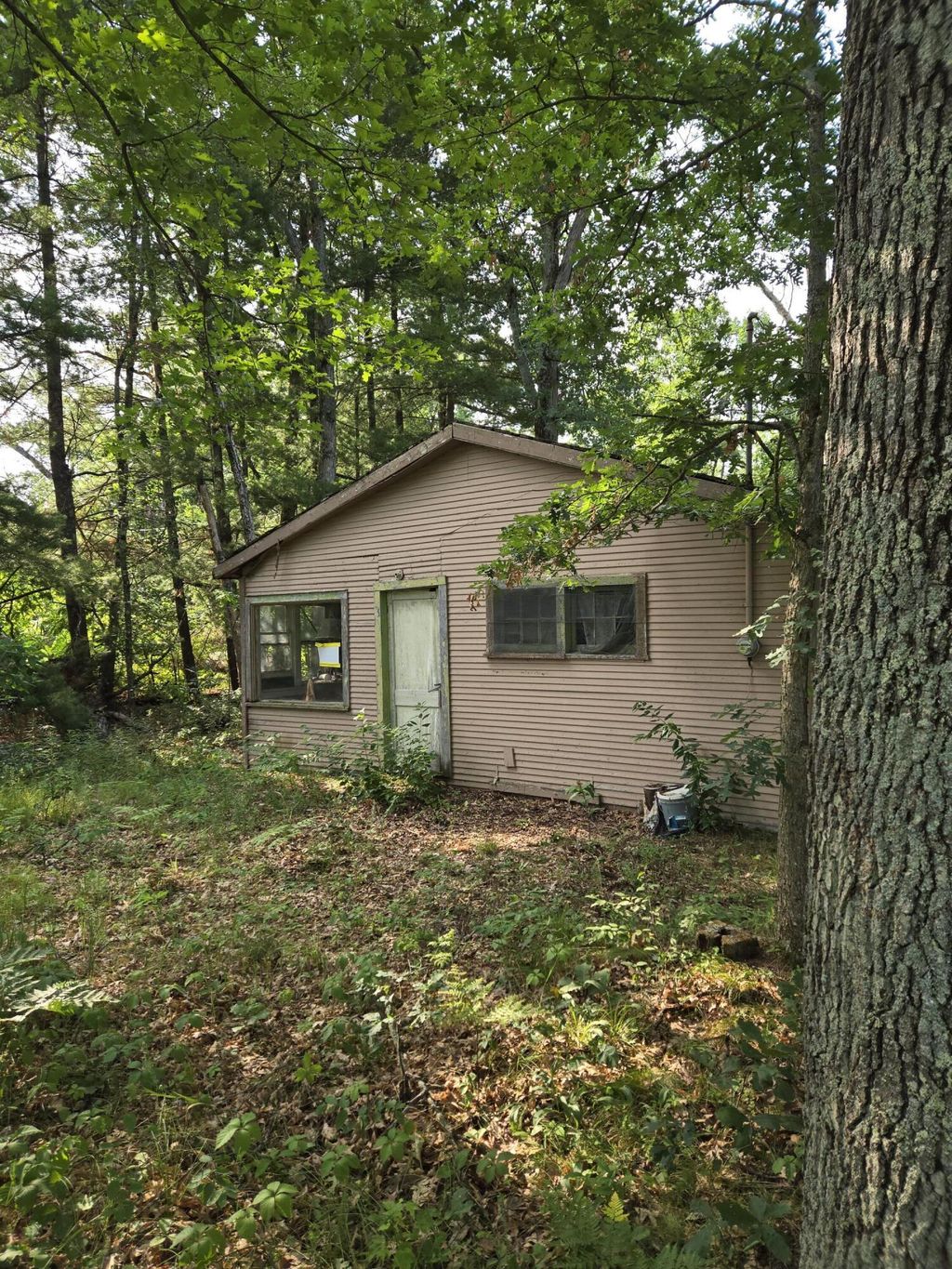 290 E Decatur, Yates township