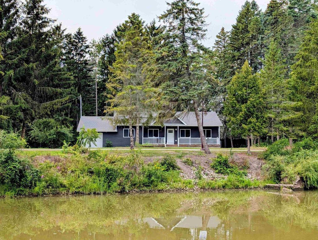 229 Water, Au Gres township