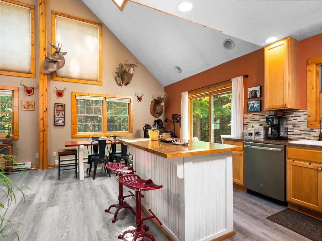 16862 Healy Lake, Springdale township