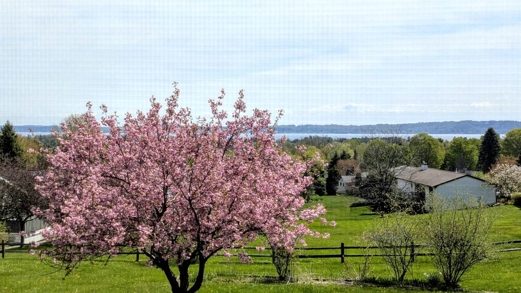 9754 E Harbor Hills, Traverse City city