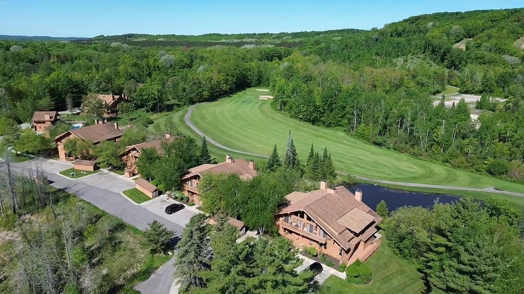 6658 Schuss Mountain, Mancelona