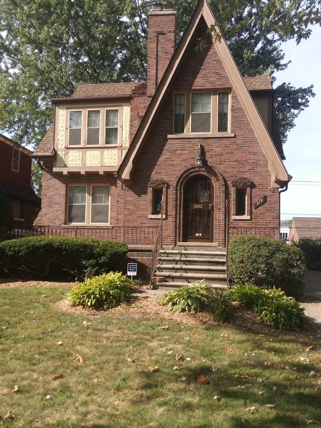 219 Lakewood Street, Detroit city
