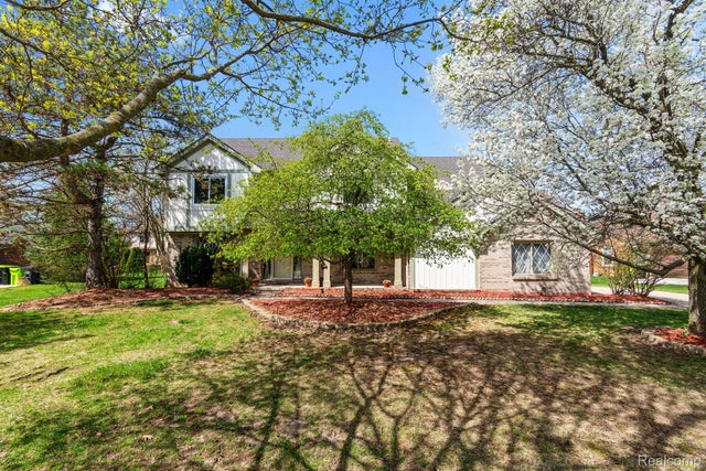 41450 Reindeer Dr, Novi city