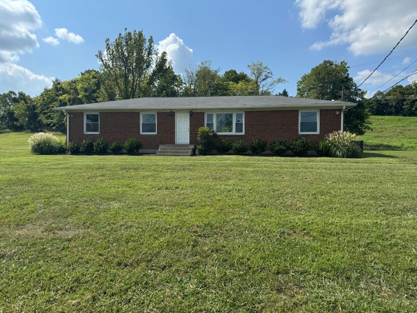 Photo of Listing #3000411