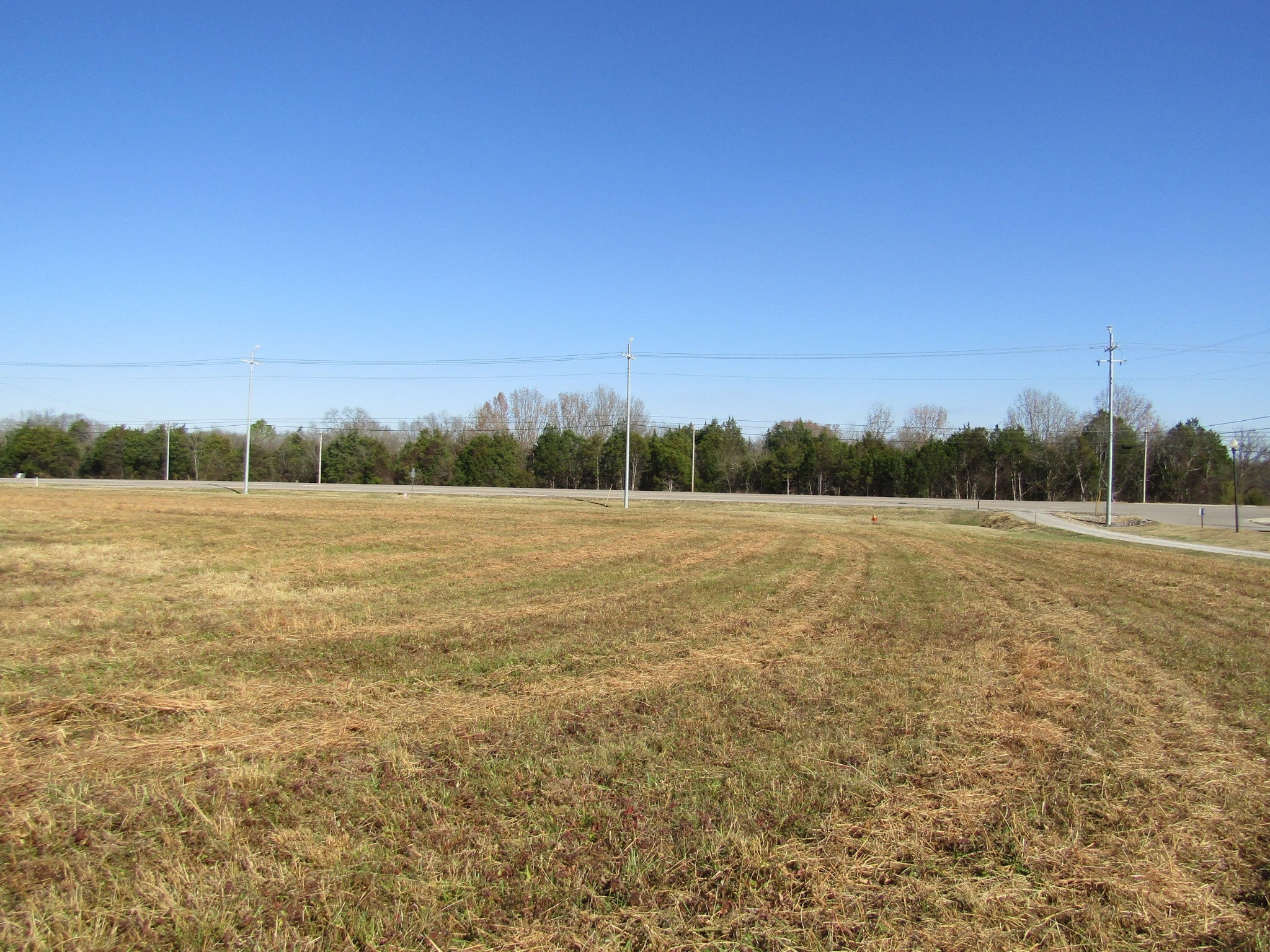 Photo of Listing #2596392