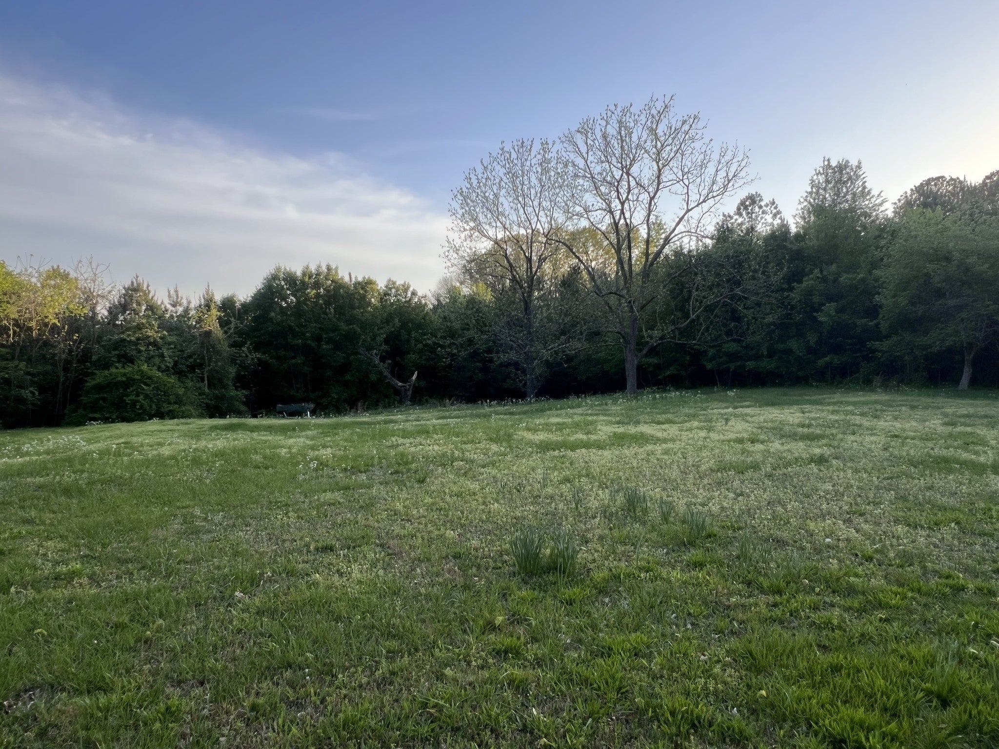 Photo of Listing #2640667