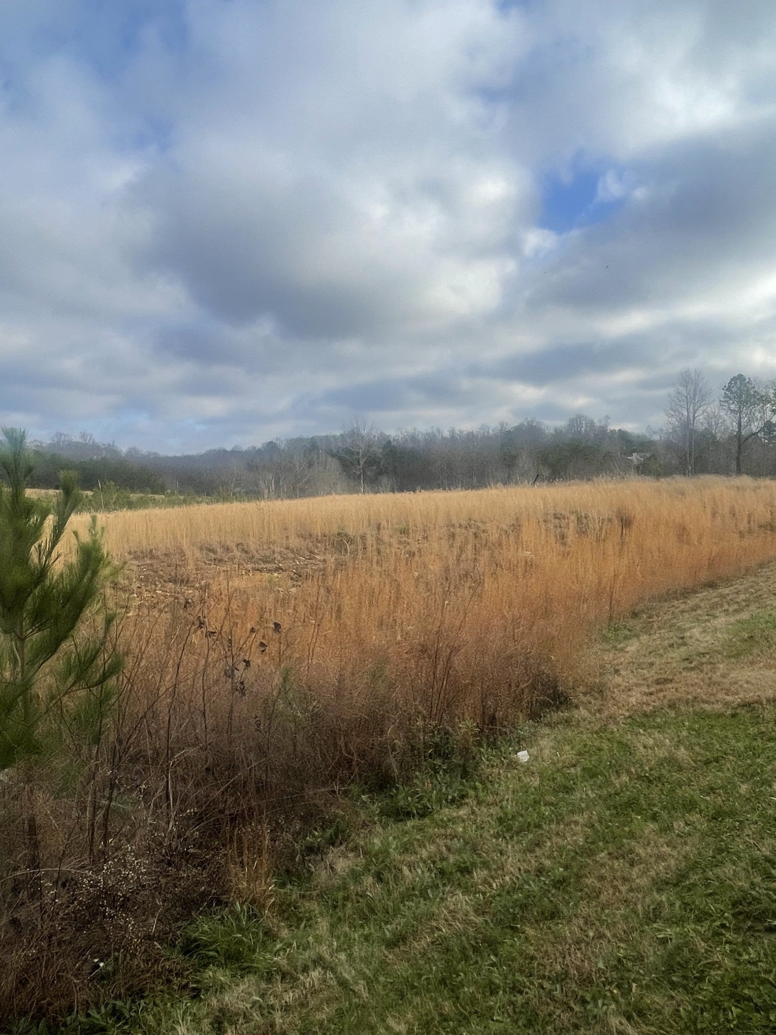 Photo of Listing #2772560