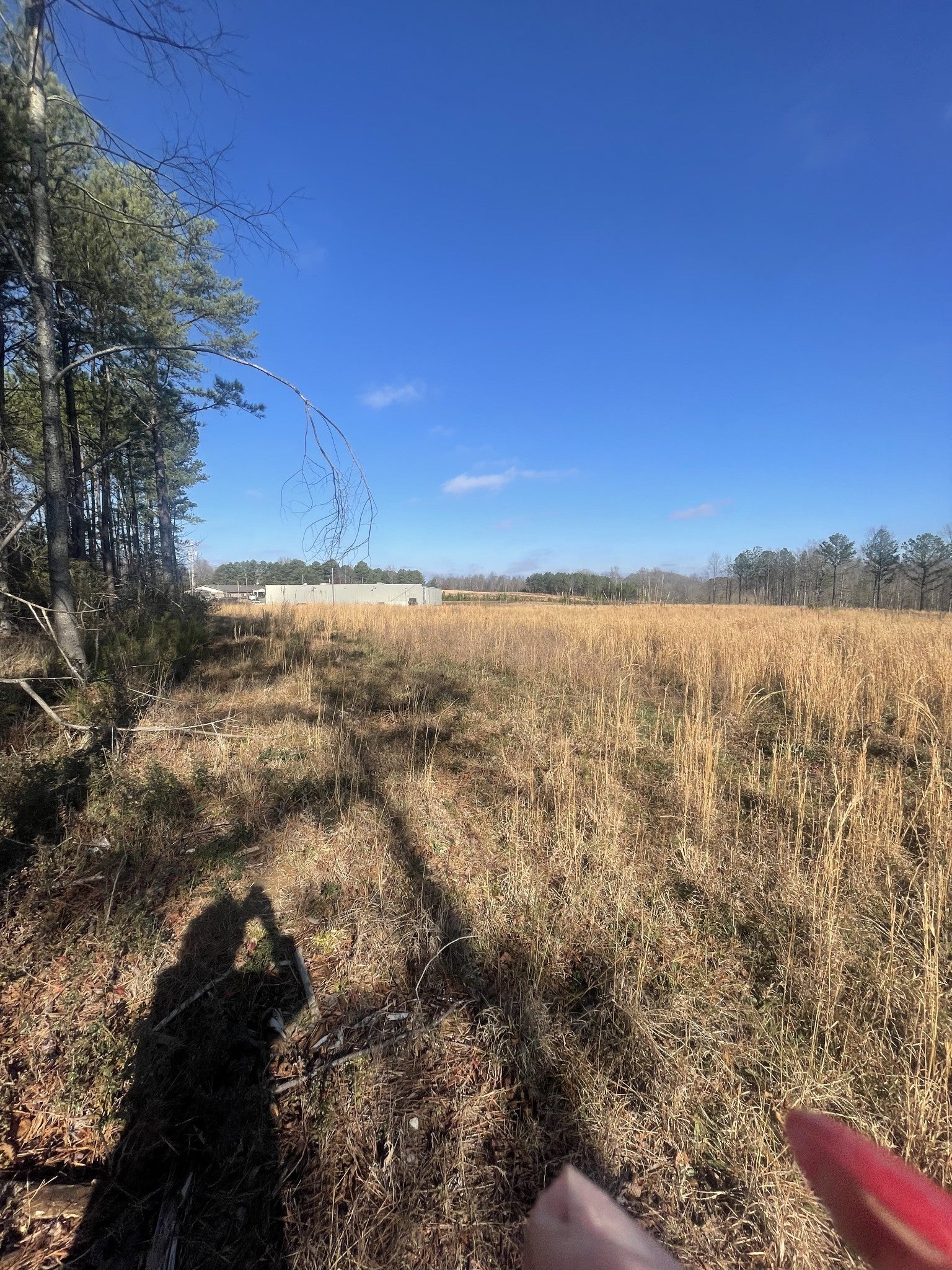 Photo of Listing #2772772