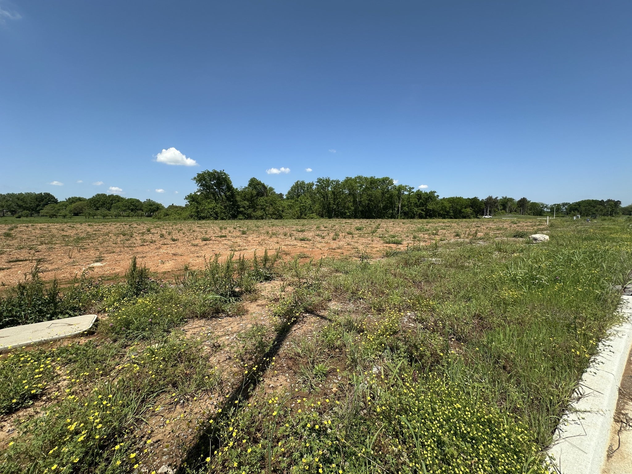 Photo of Listing #2823729