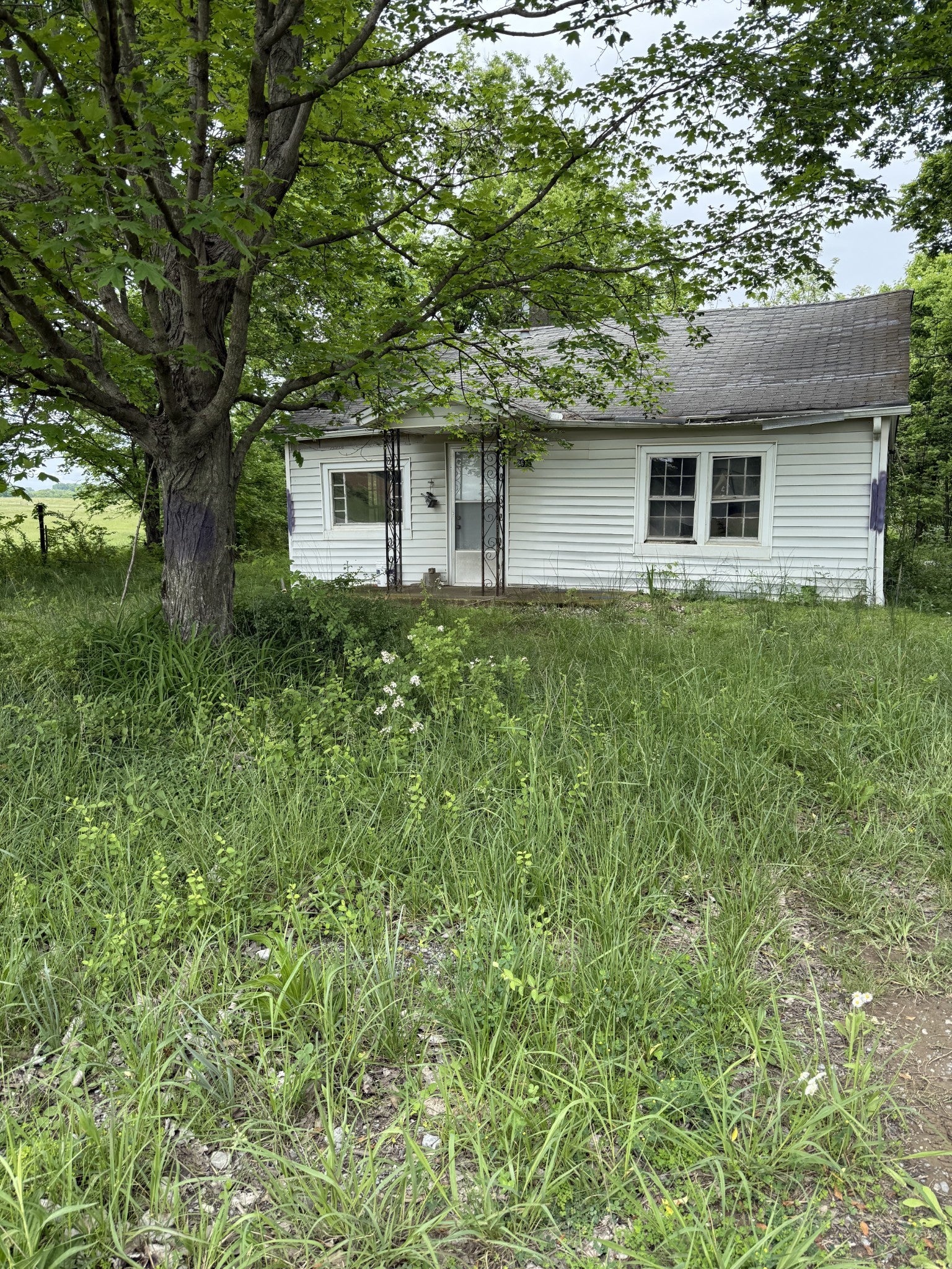 Photo of Listing #2887068