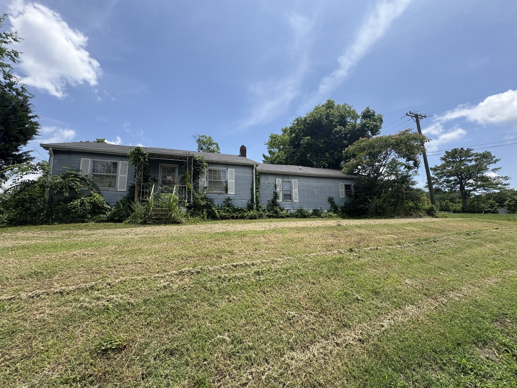 Photo of Listing #2914539