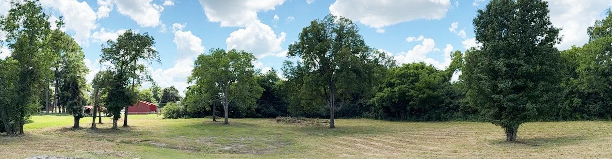 Photo of Listing #2973627