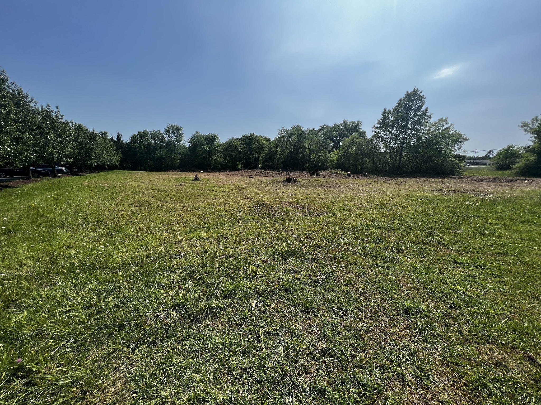 Photo of Listing #2991495
