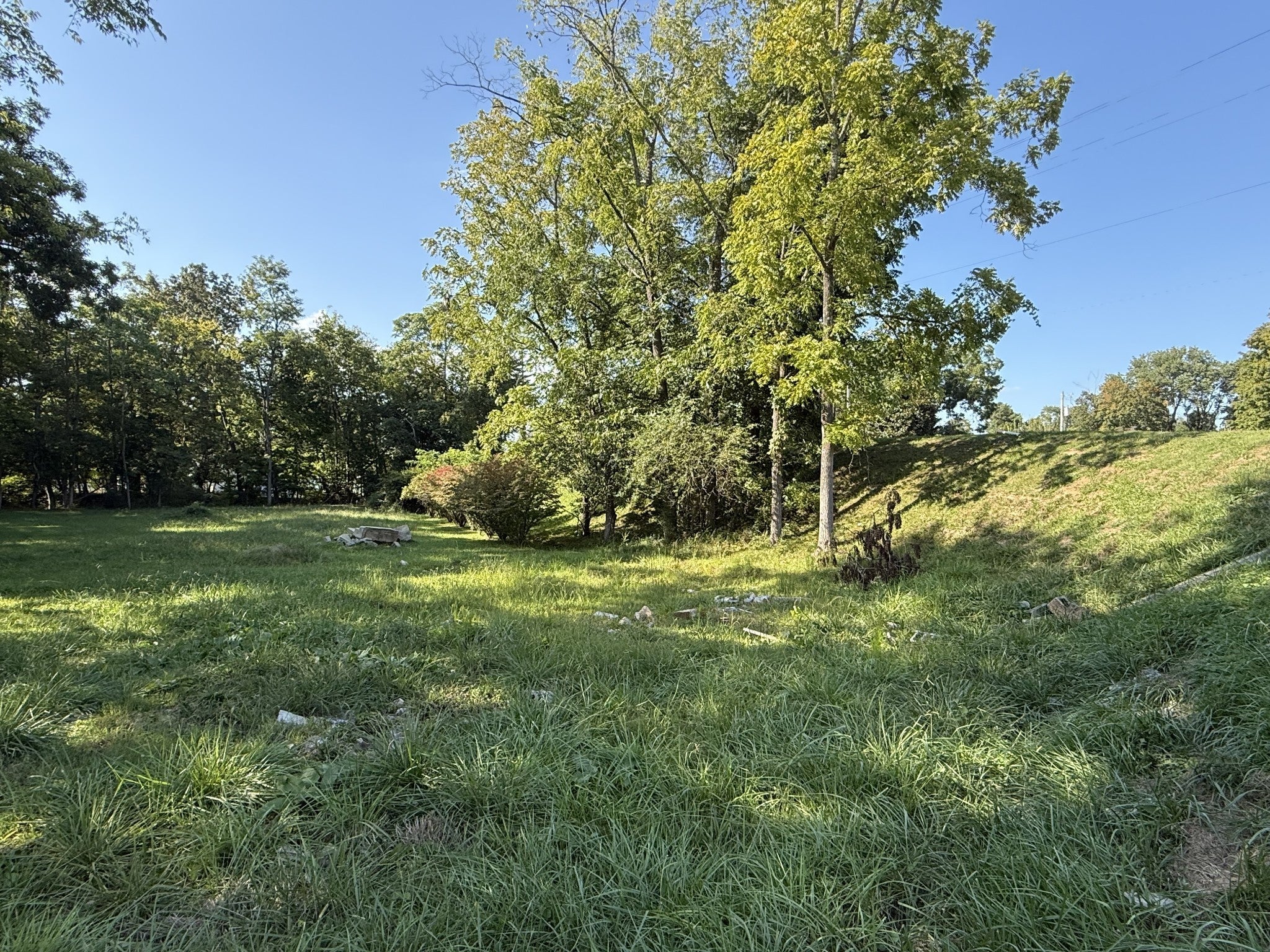 Photo of Listing #2995290