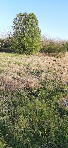 Photo of Listing #3034079