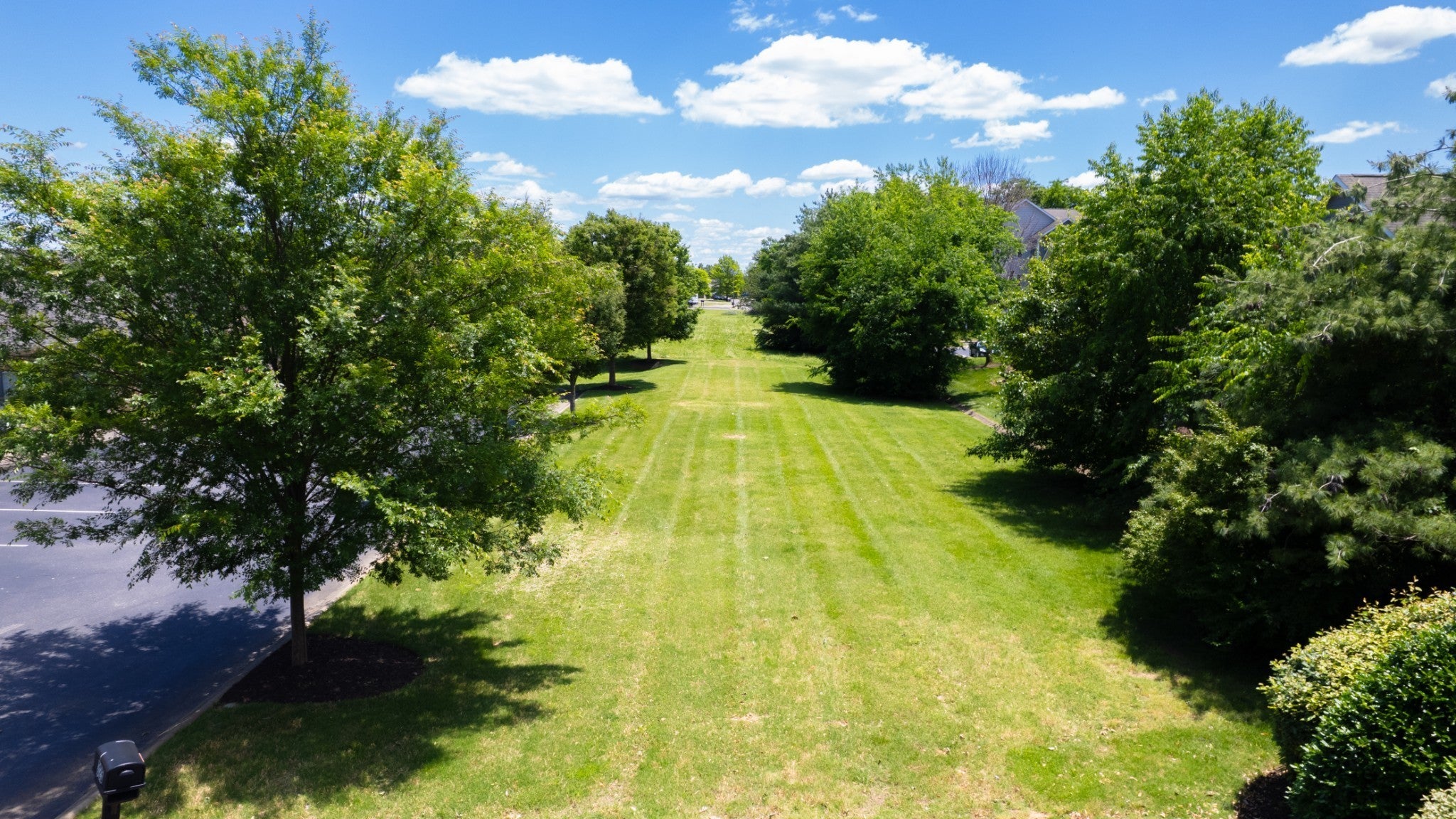 Photo of Listing #3054352