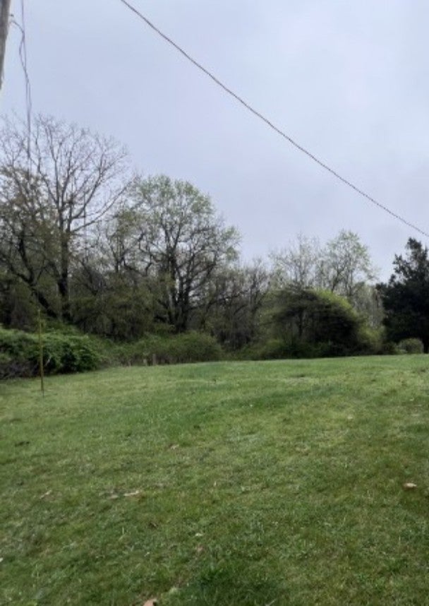 Photo of Listing #3056892