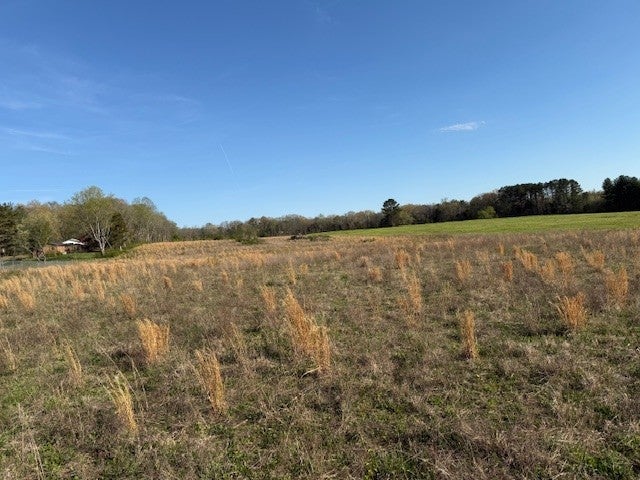 Photo of Listing #3164930