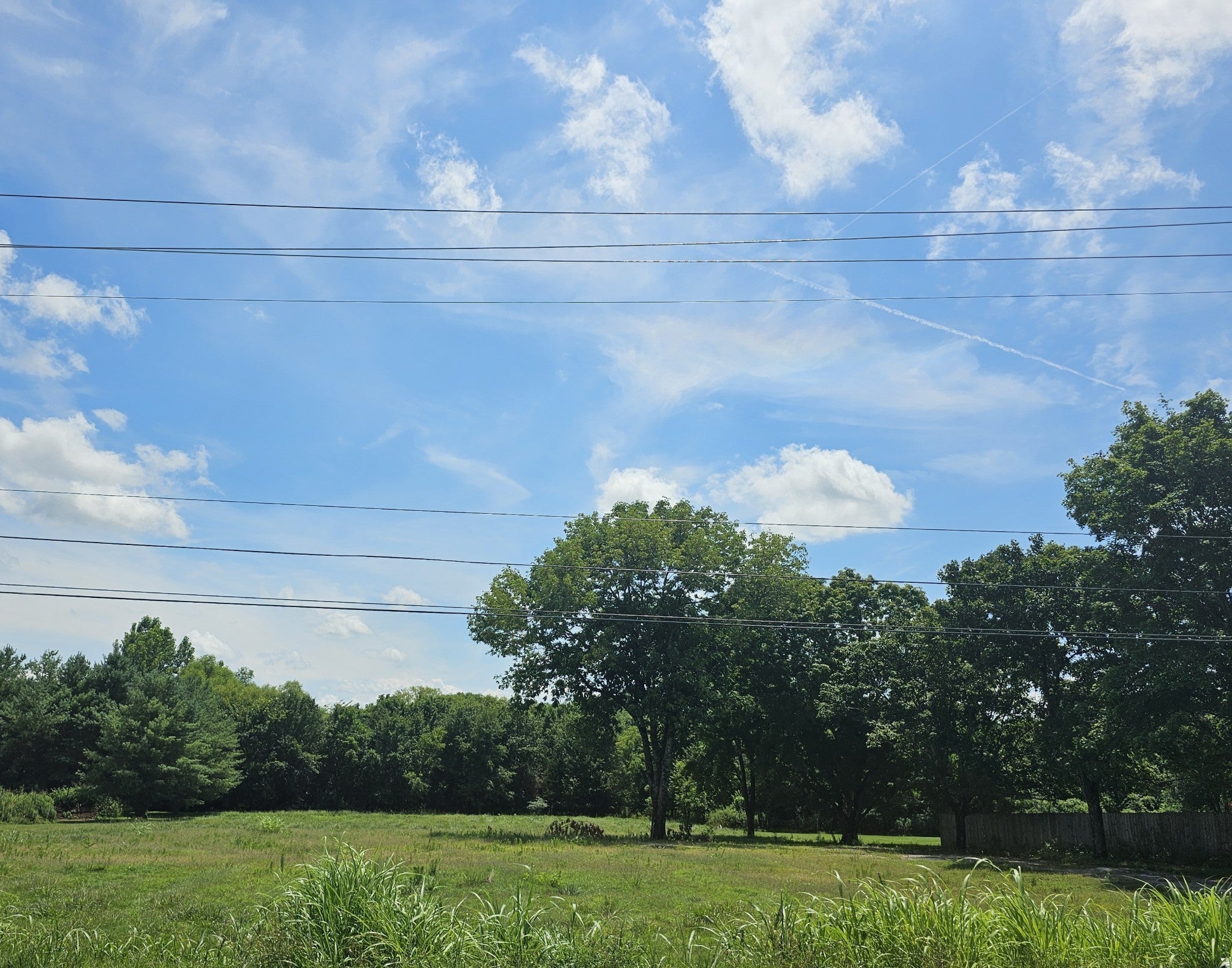 Photo of Listing #3167333