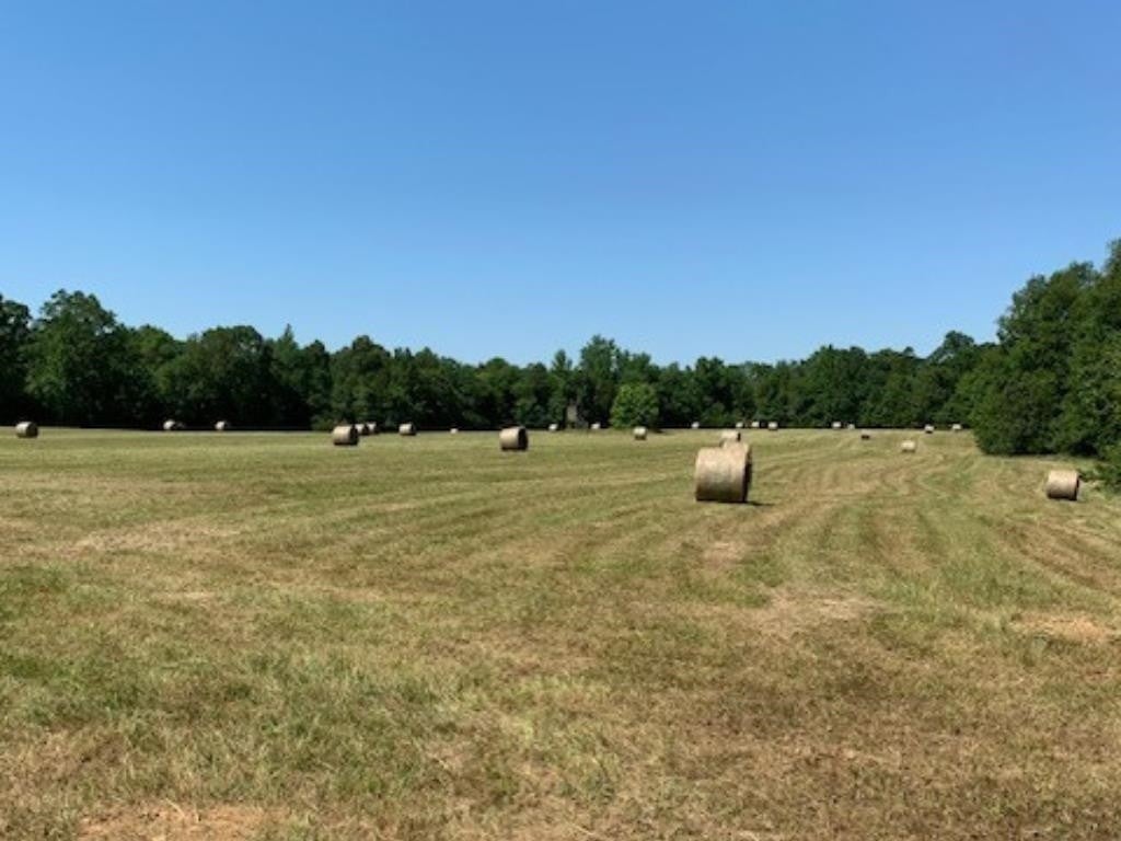 Photo of Listing #2763356