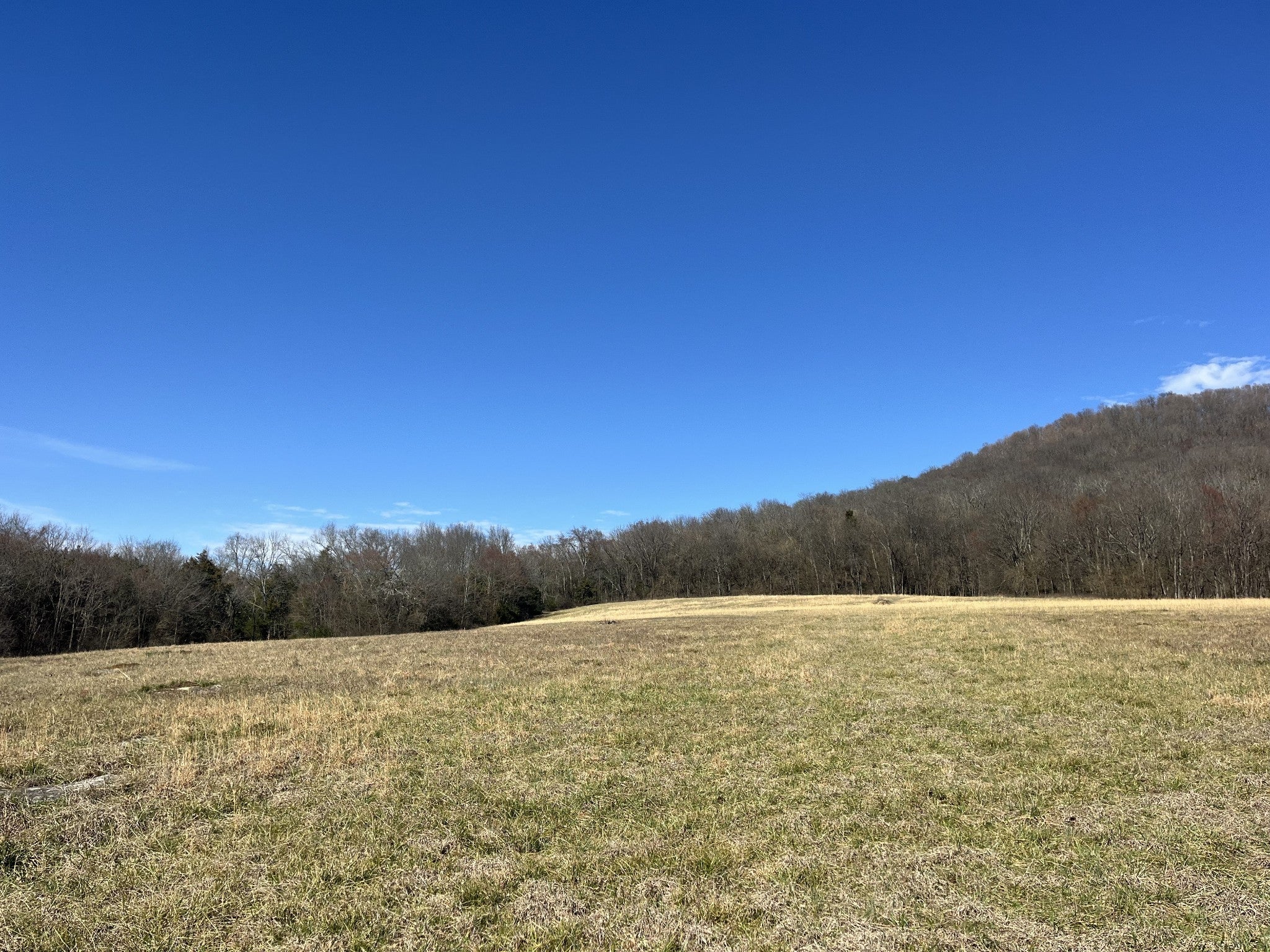 Photo of Listing #2792012