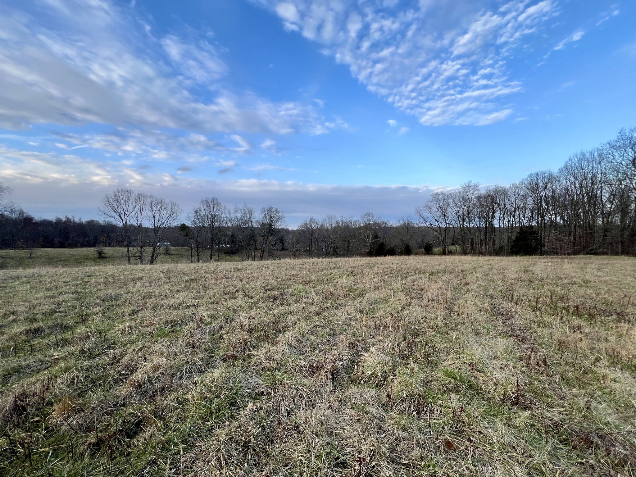 Photo of Listing #2792035