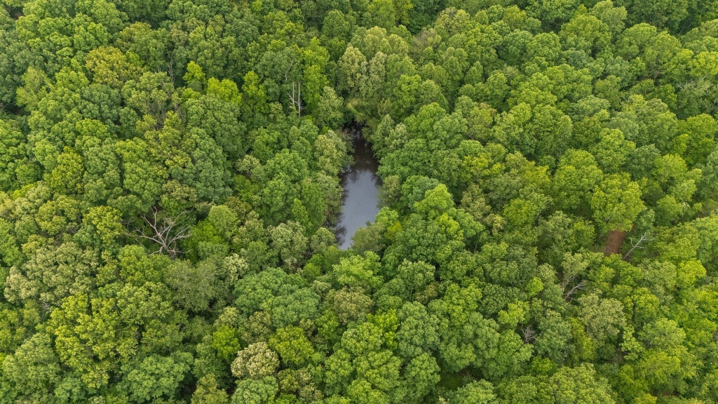 0 Bells Branch Rd, Nunnelly