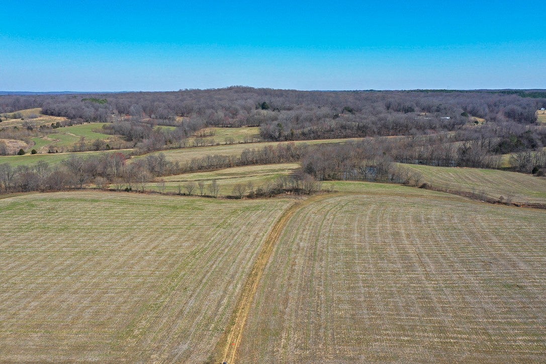 Photo of Listing #2806382