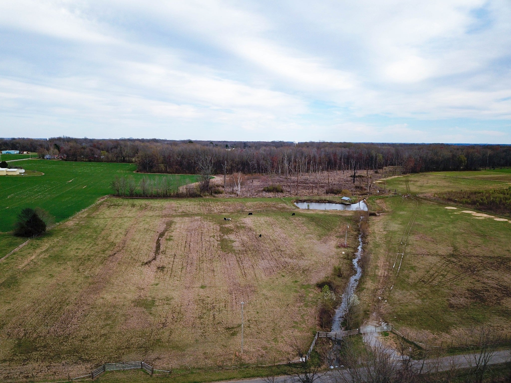 Photo of Listing #2807694