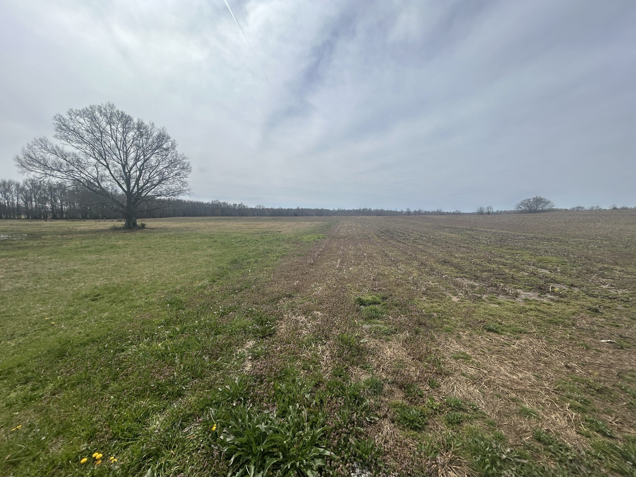Photo of Listing #2808184