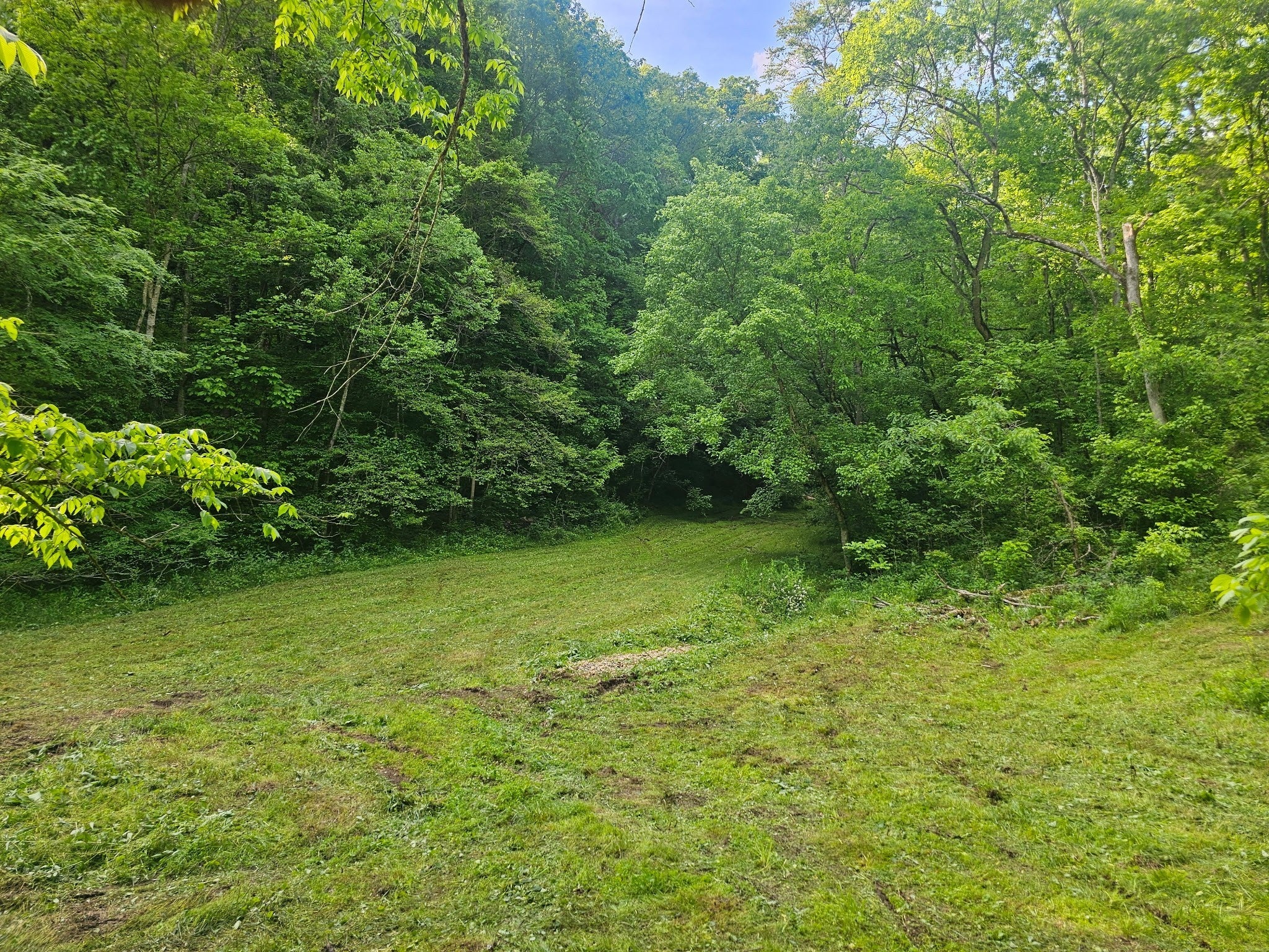Photo of Listing #2808357