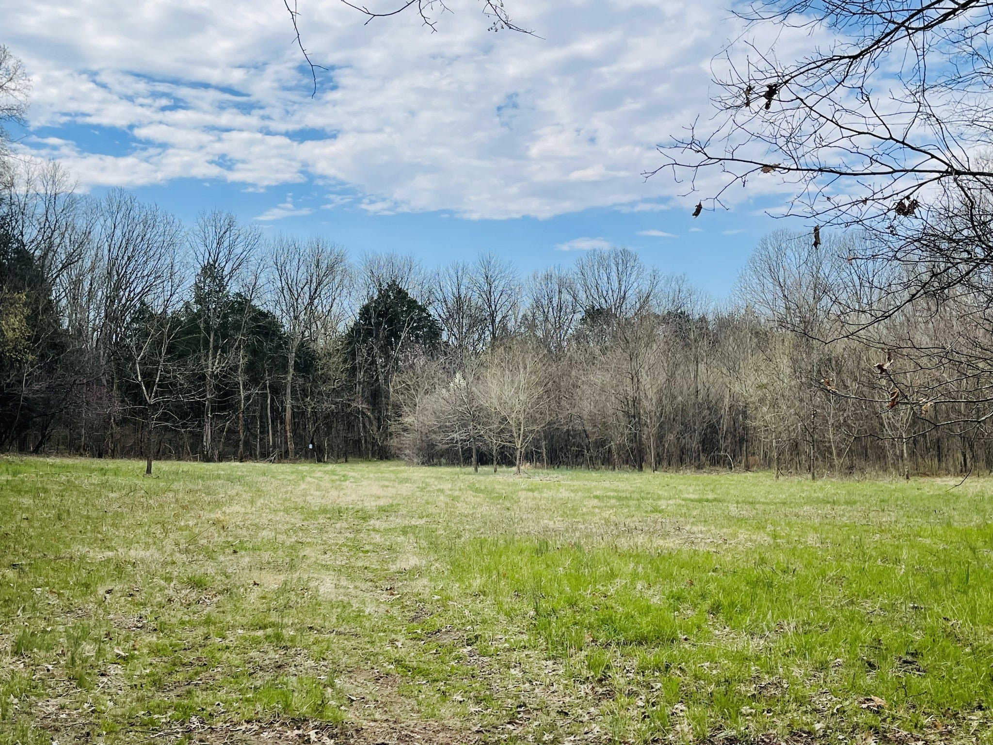 Photo of Listing #2809481