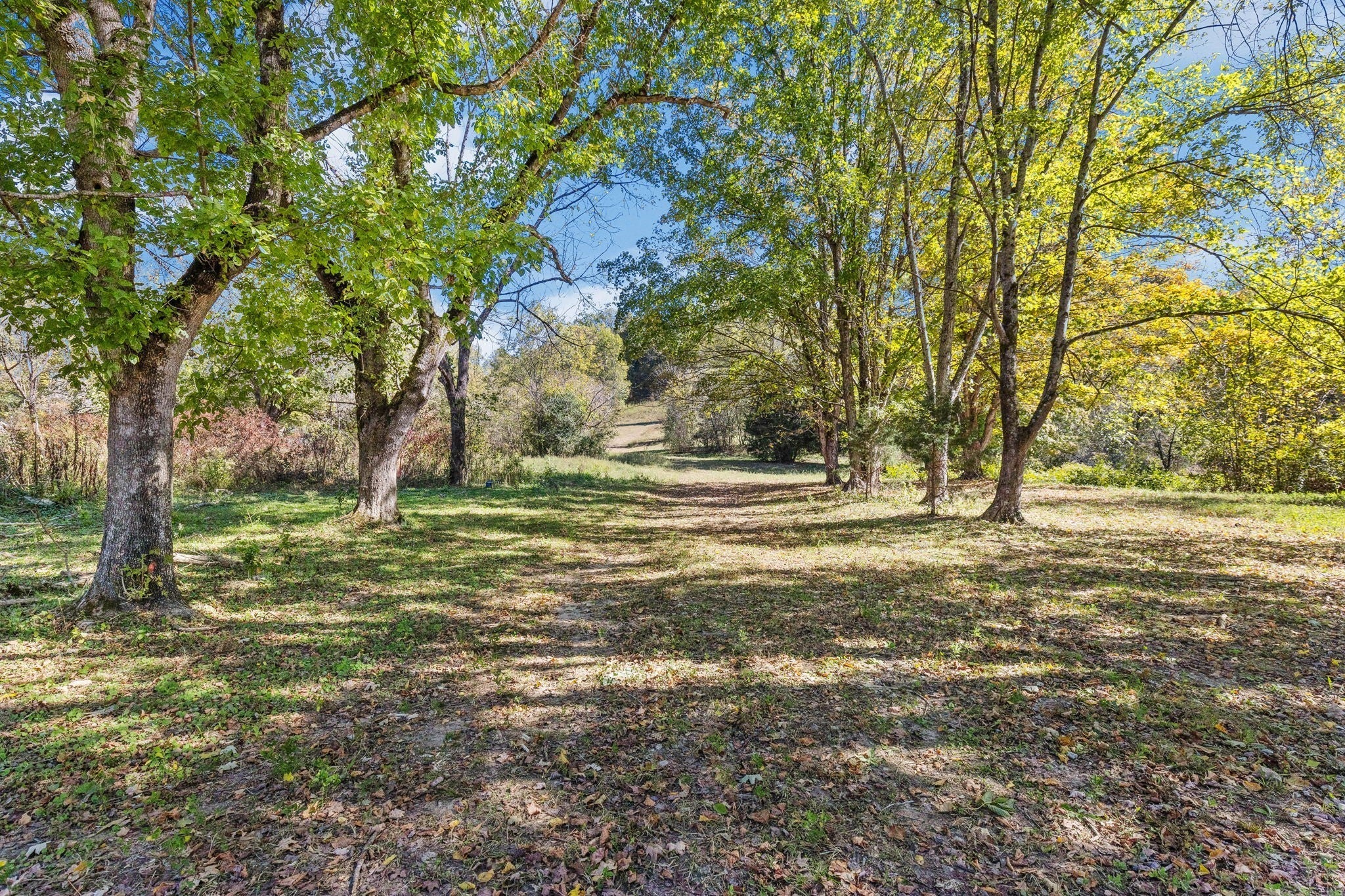 Photo of Listing #2811990