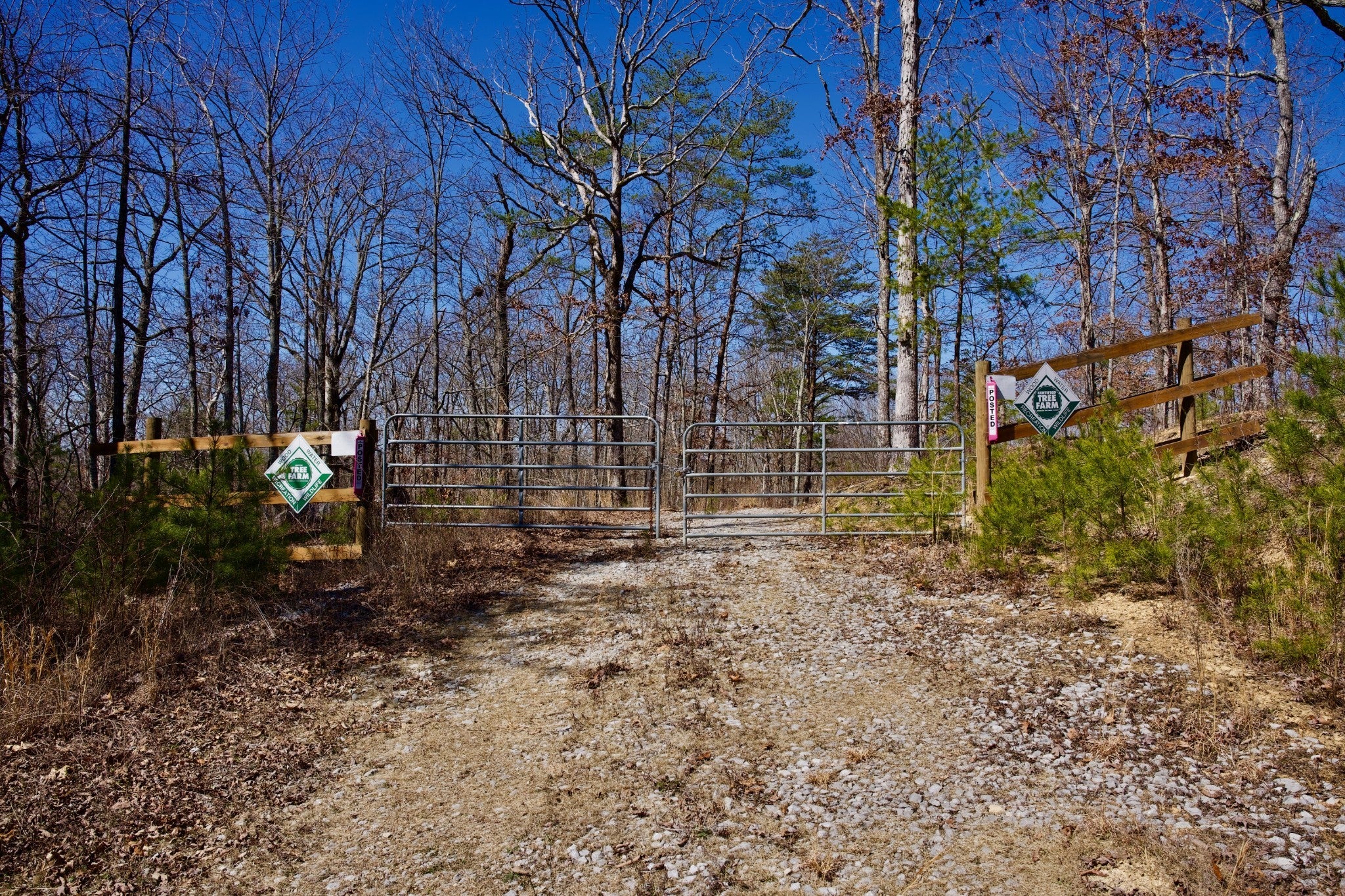 Photo of Listing #2812074