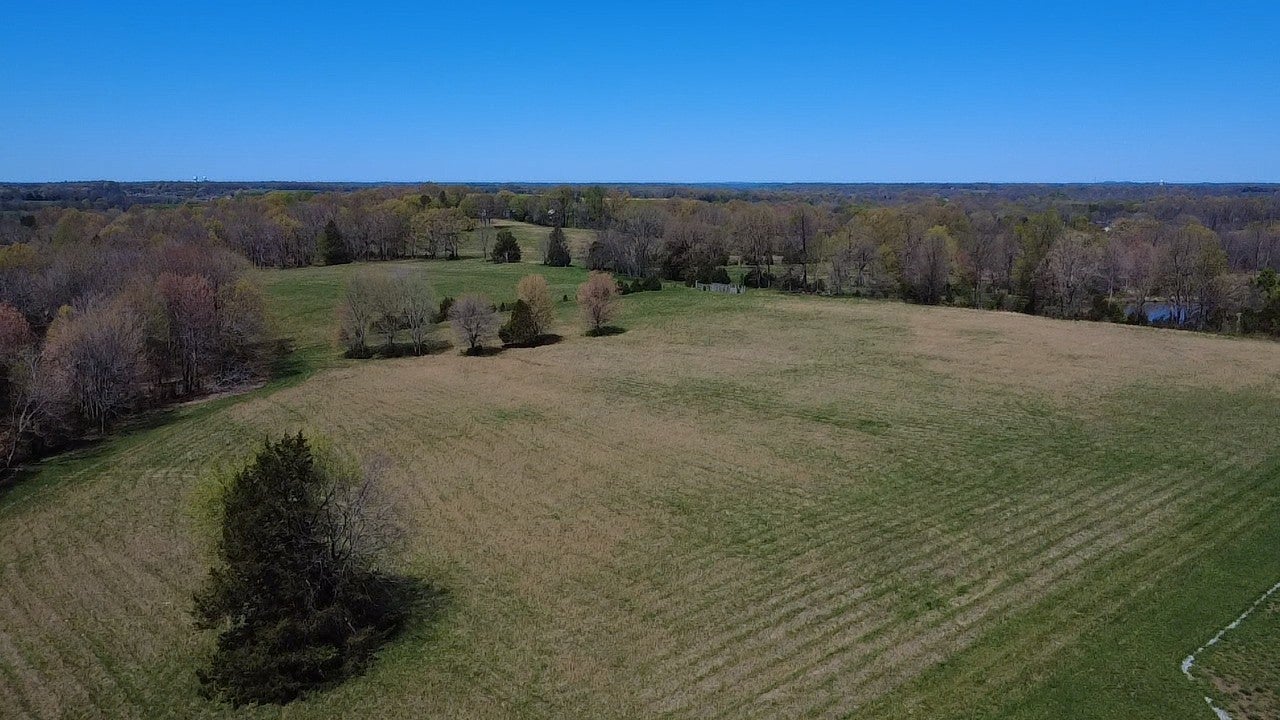 Photo of Listing #2815289