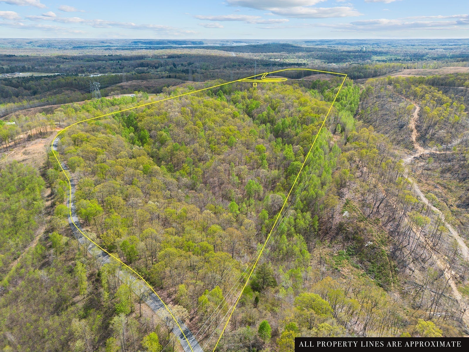 Photo of Listing #2815814