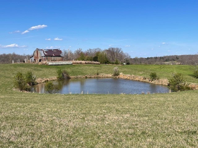 Photo of Listing #2816165